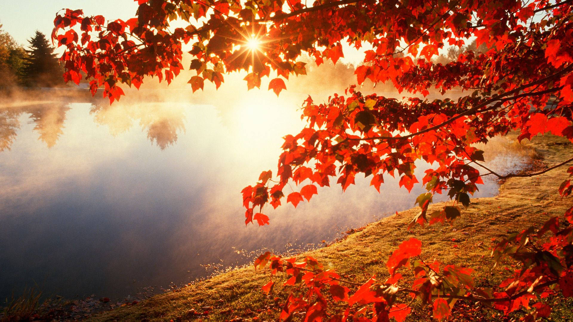 Get Cozy Vibes with These Stunning Fall Backgrounds Wallpaper!