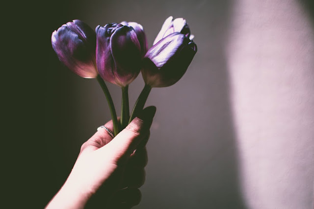 Person holding purple flowers